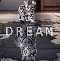 STK Schulleiter Trainer Ausbildung