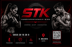 STK Wien 3 Bezirk
